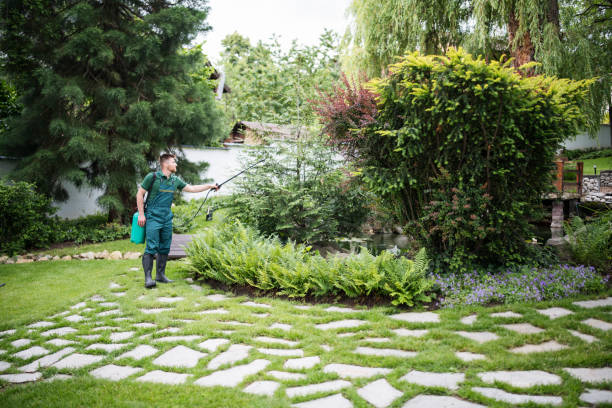 Best Emergency Pest Control  in Heritage Lake, IL