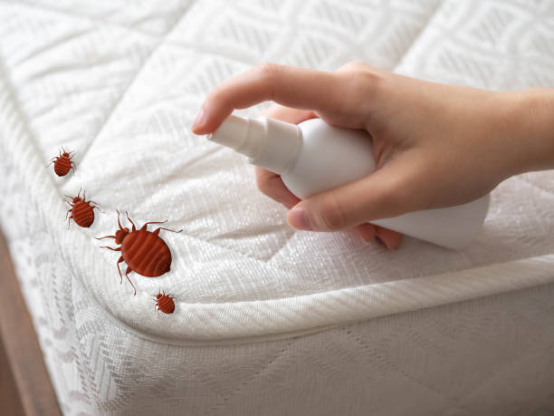 Best Pest Control Near Me  in Heritage Lake, IL