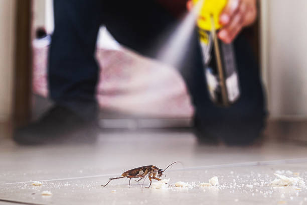 Best Wasp Removal Services  in Heritage Lake, IL
