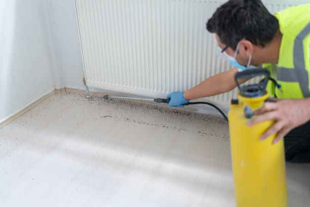Best Mosquito Control Services  in Heritage Lake, IL
