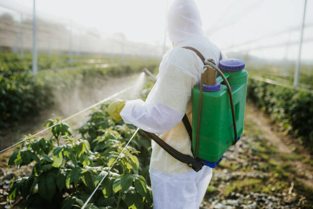 Best Flea Control Services  in Heritage Lake, IL